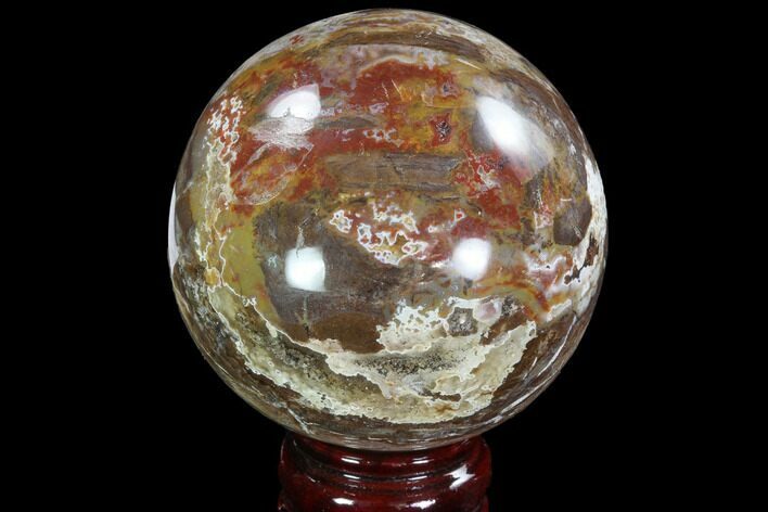 Colorful Petrified Wood Sphere - Madagascar #92396